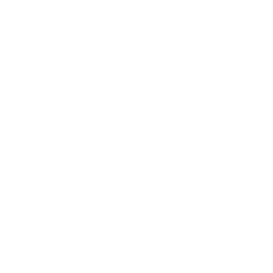 berlin recycling